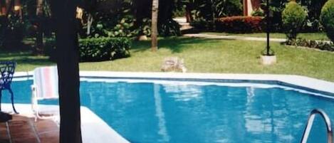 Outdoor pool