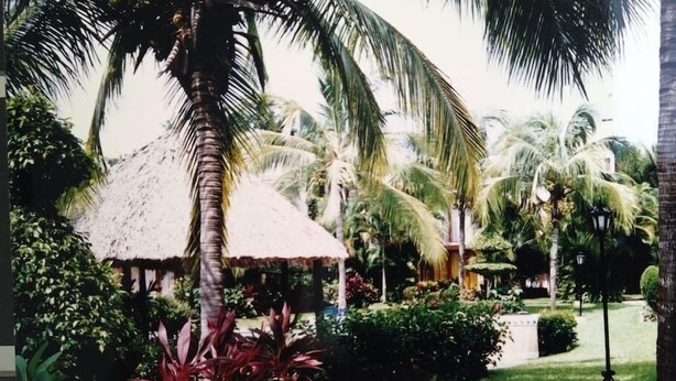 Een tropische tuin met een hut met rieten dak, palmbomen en weelderige begroeiing.