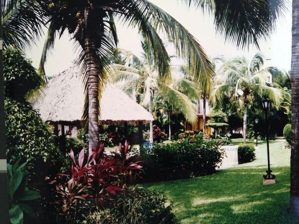 Garden - Villa Golf (Ixtapa)