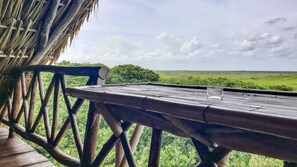 View from property - I Scream House (Tulum)