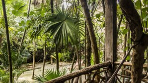 Eine Holzterrasse mit rustikaler Geländer, umgeben von üppiger tropischer Vegetation und einer Holzkonstruktion darüber.