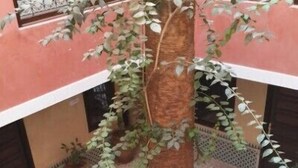 Unclassified image, 3 of 40, button - Hotel Cecil (Marrakech)