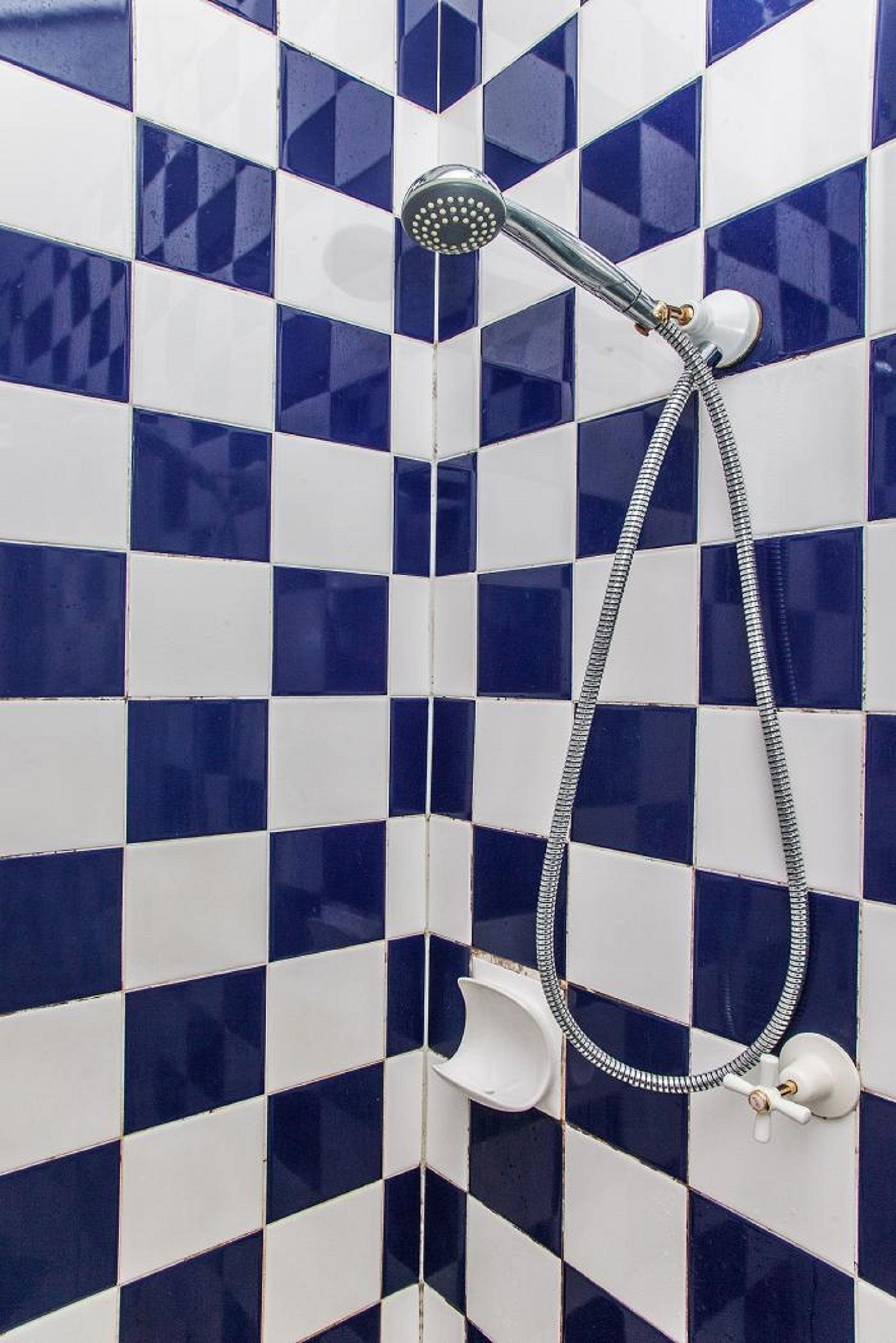 A shower with a handheld showerhead and a handheld hose.