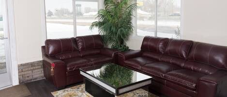 43-inch flat-screen TV with satellite channels, TV