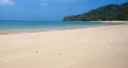 Iriomote Island Hotel