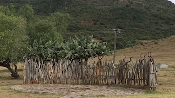 Área de parrillas y picnic