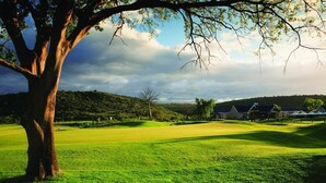 Een golfbaan met een grote boom op de voorgrond, een heldere lucht en een heuvellandschap op de achtergrond.