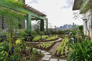 A rooftop garden with a pergola structure, various plants, and a city skyline in the background. - Boni Tower (Mandaluyong)