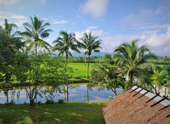 Vue sur le jardin