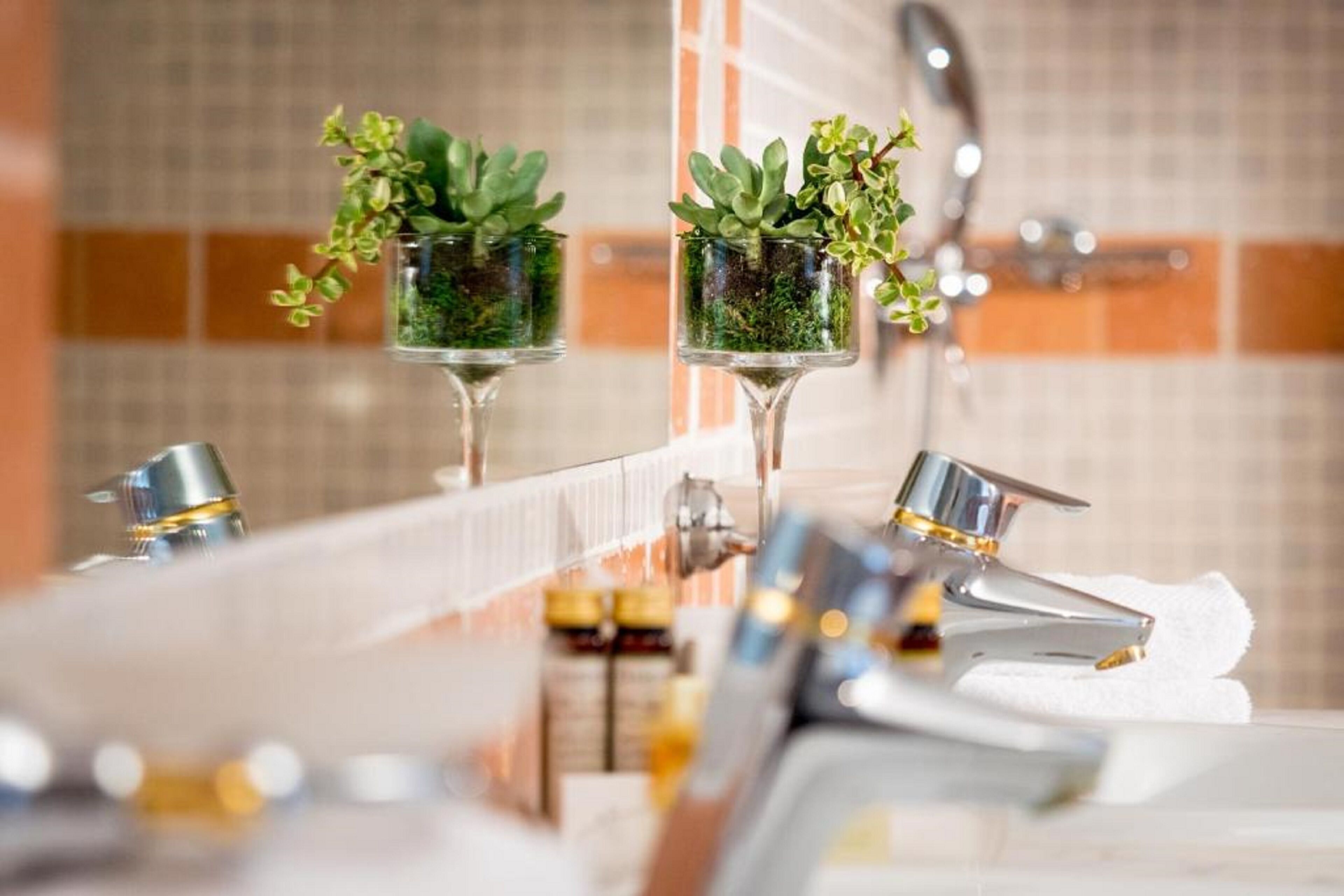 free toiletries, hair dryer, towels