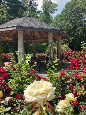 Khuôn viên nơi lưu trú