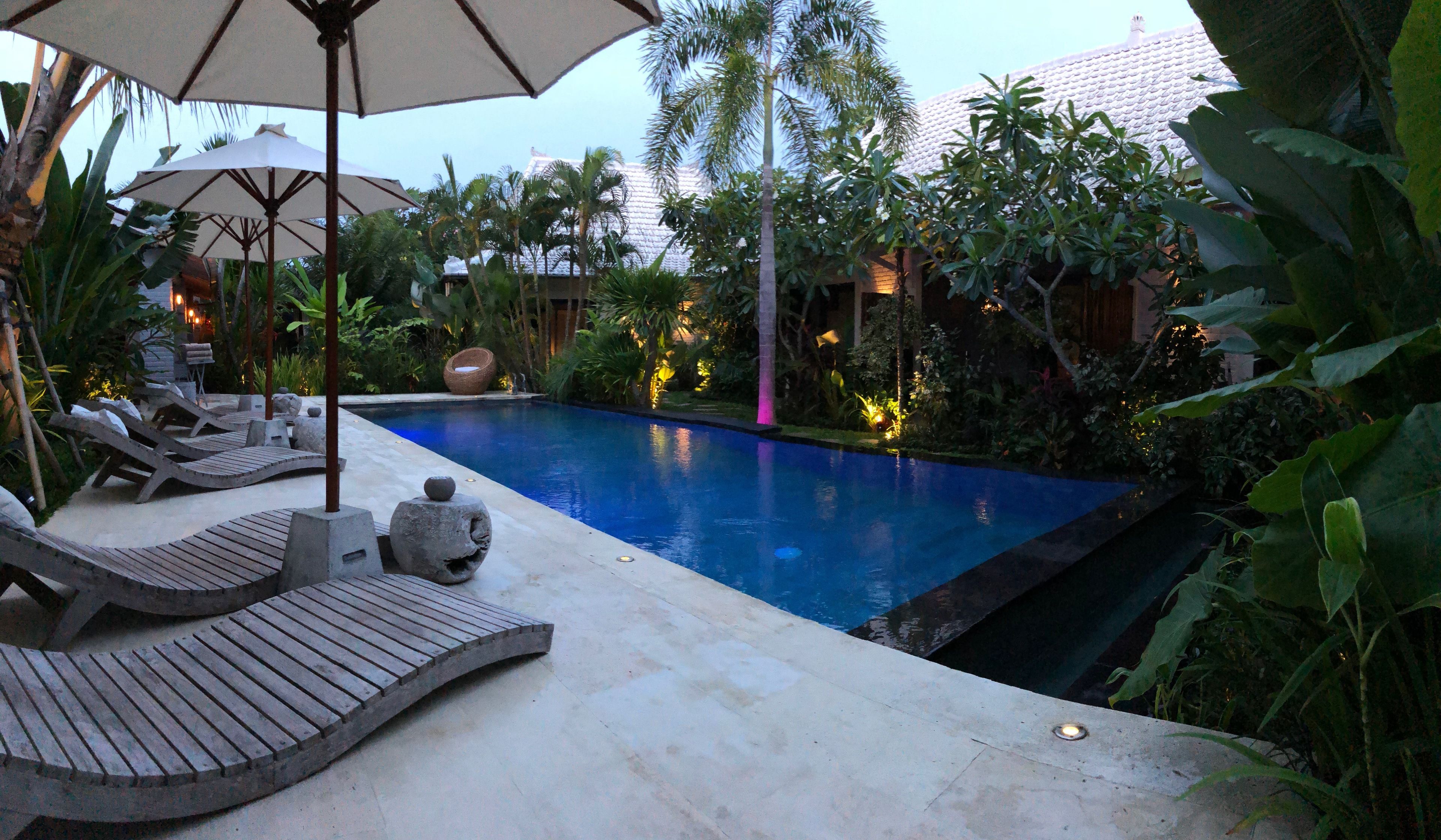 A swimming pool with lounge chairs and umbrellas, surrounded by tropical plants and a building with a tiled roof.