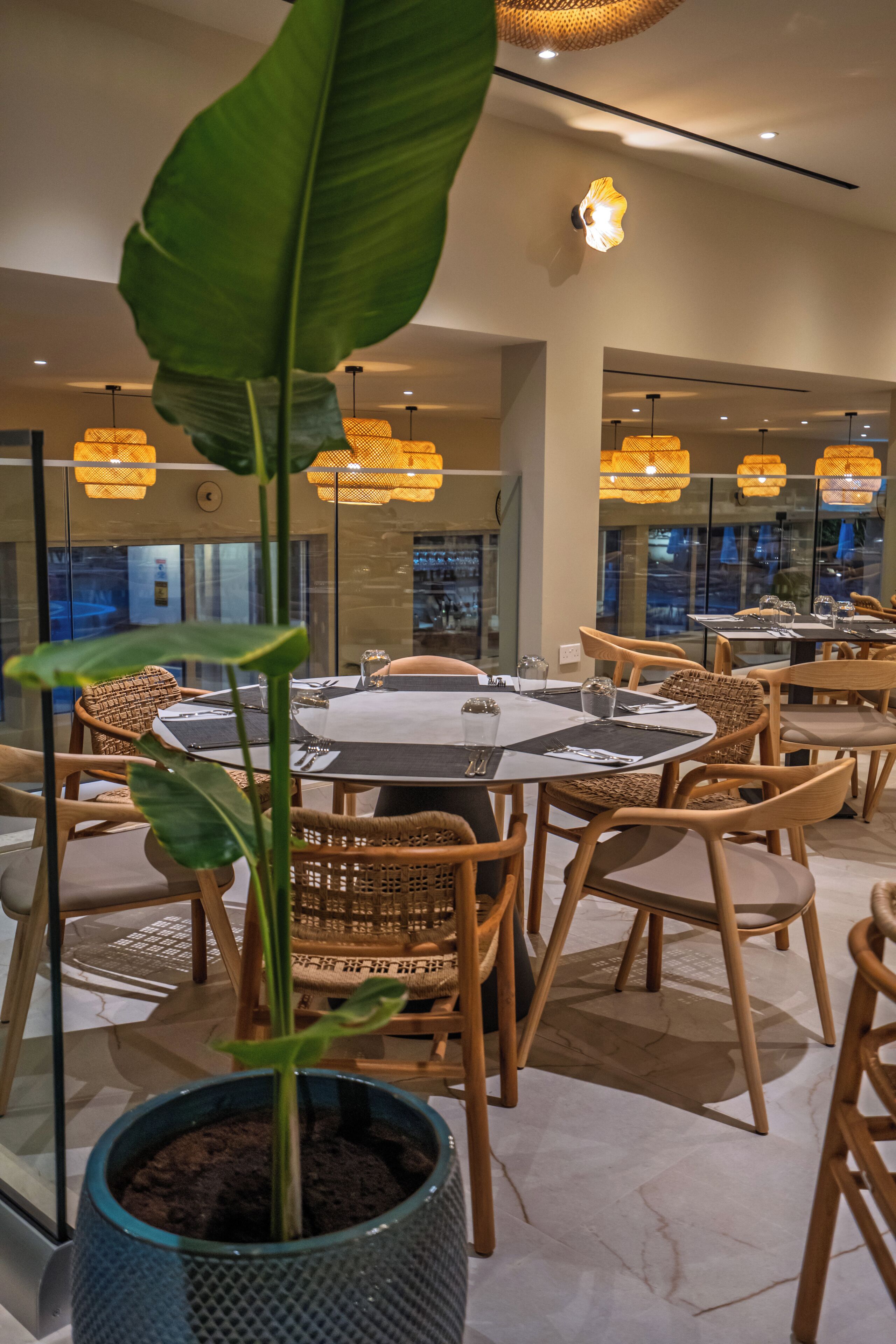 A dining area with round tables, wicker chairs, and a potted plant.