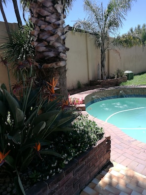 Una piscina rodeada de un borde de ladrillo, con palmeras y diversas plantas cercanas.