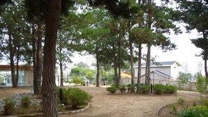 A residential area with a paved driveway, trees, and a house in the background. - Depto Algarrobo Condominio Regata 1032 (Algarrobo)