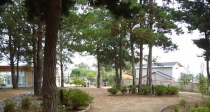 Depto Algarrobo Condominio Regata 1032