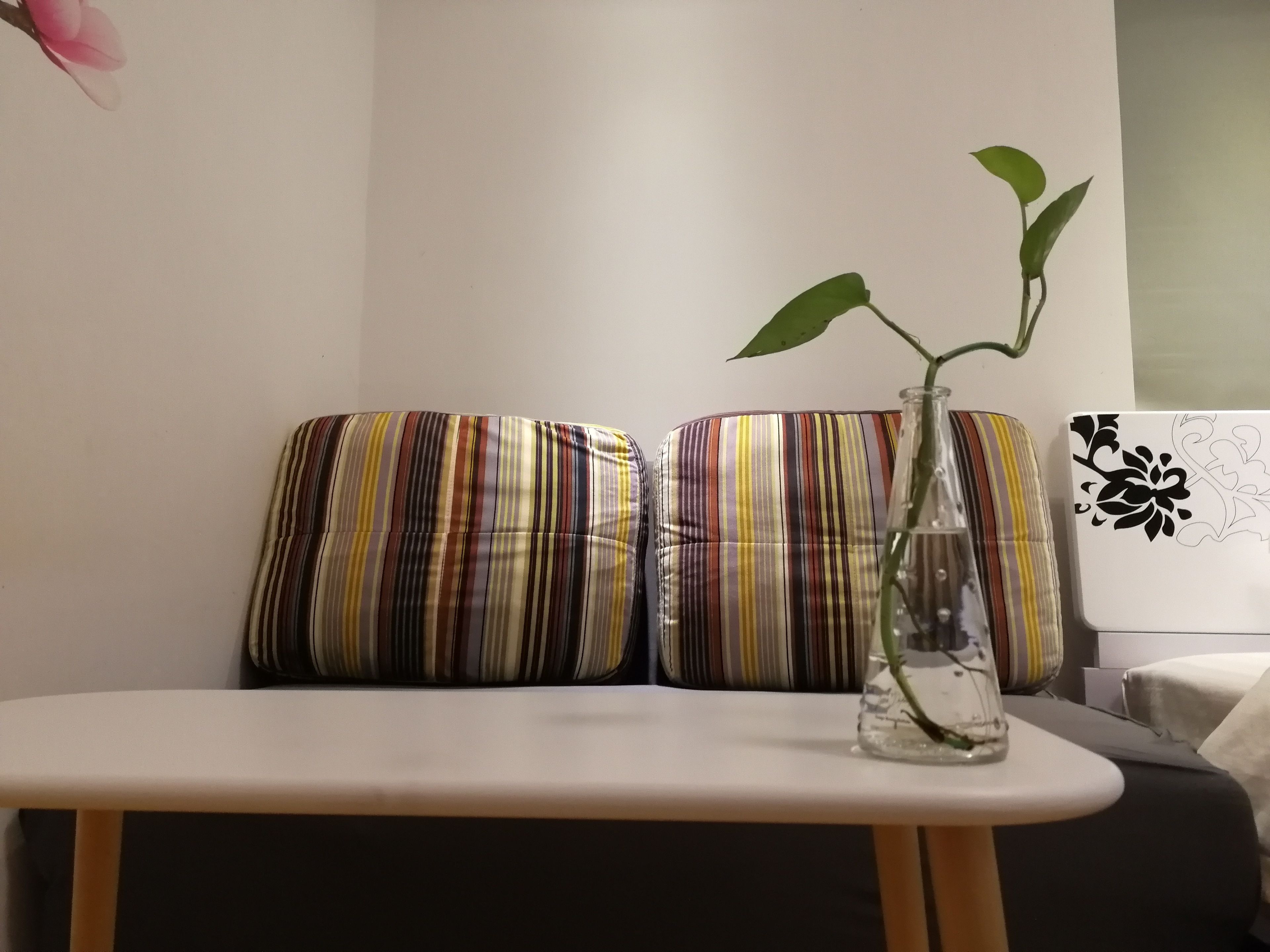 Une petite table sur laquelle se trouve un vase contenant une plante, deux coussins à rayures et un mur uni.