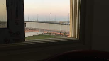 Deluxe Suite | View from room