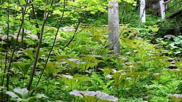 Jardines del alojamiento