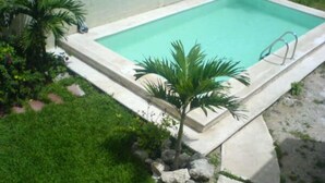 A rectangular swimming pool with a clear blue water surface, surrounded by a concrete deck and a small palm tree. - Casa en PlayaDelCarmen 510 by Sinbad (Playa del Carmen)