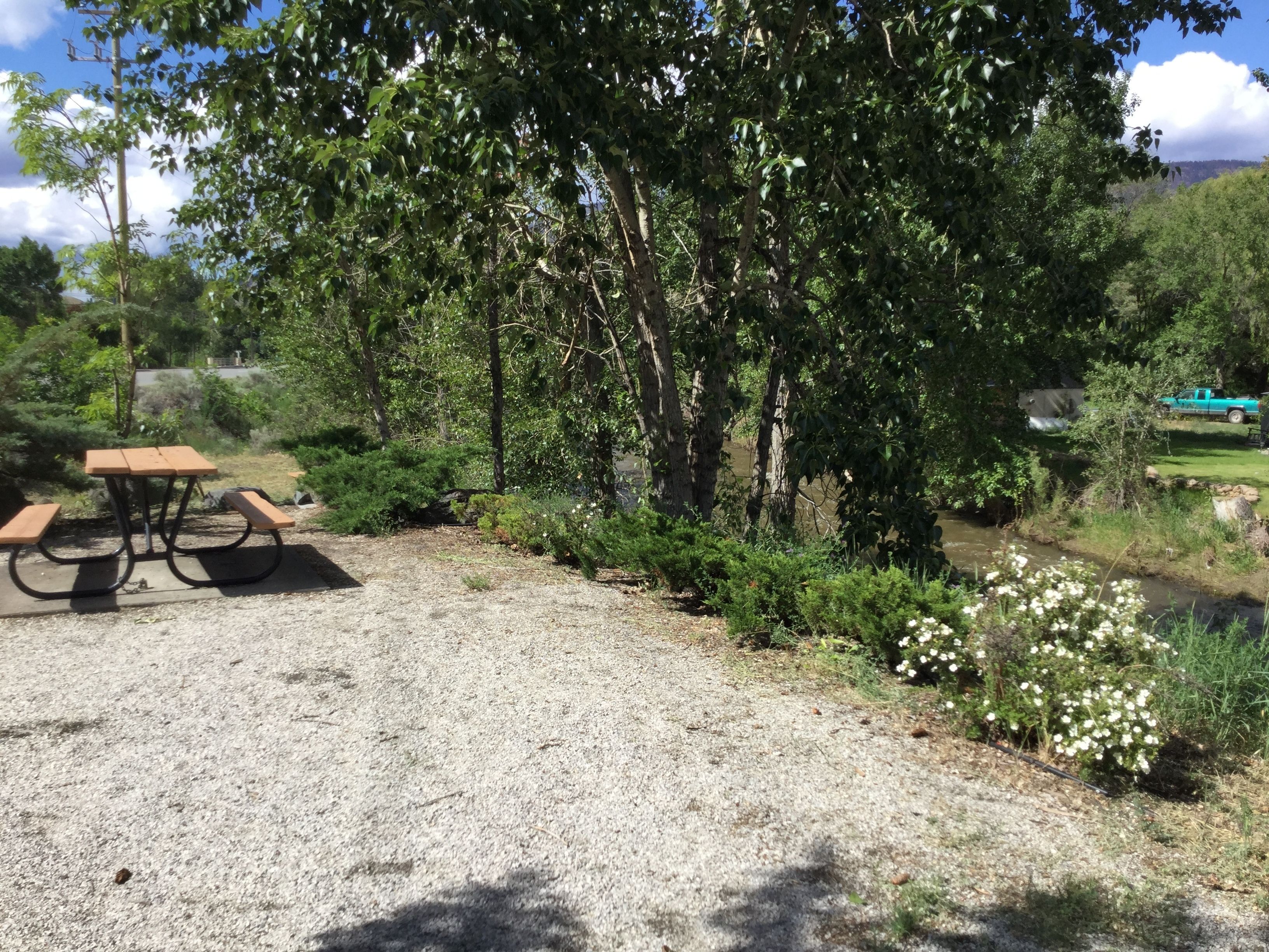 A picnic table in a natural setting with trees and a gravel path.
