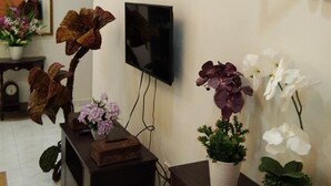Una sala de estar con un televisor de pantalla plana montado en la pared, un mueble de madera con plantas en macetas y un espejo en la pared.