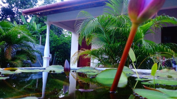 Ein friedlicher Garten mit Teich, üppigem Grün und einem weißen Gebäude mit roter Tür.