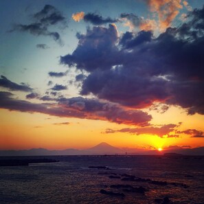 House | Beach/ocean view - Minatonoakari (Hayama)