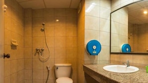 Une petite salle de bain avec des toilettes, une douche et un lavabo.