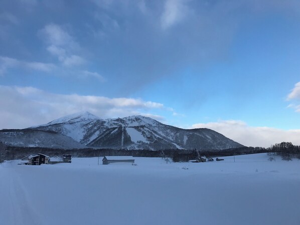 Point of interest - Forest Hideaway (Niseko)