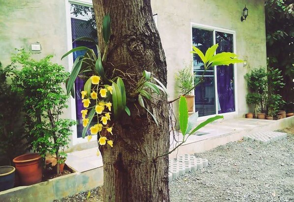 Property grounds - Mild Home Guesthouse (Chiang Mai)