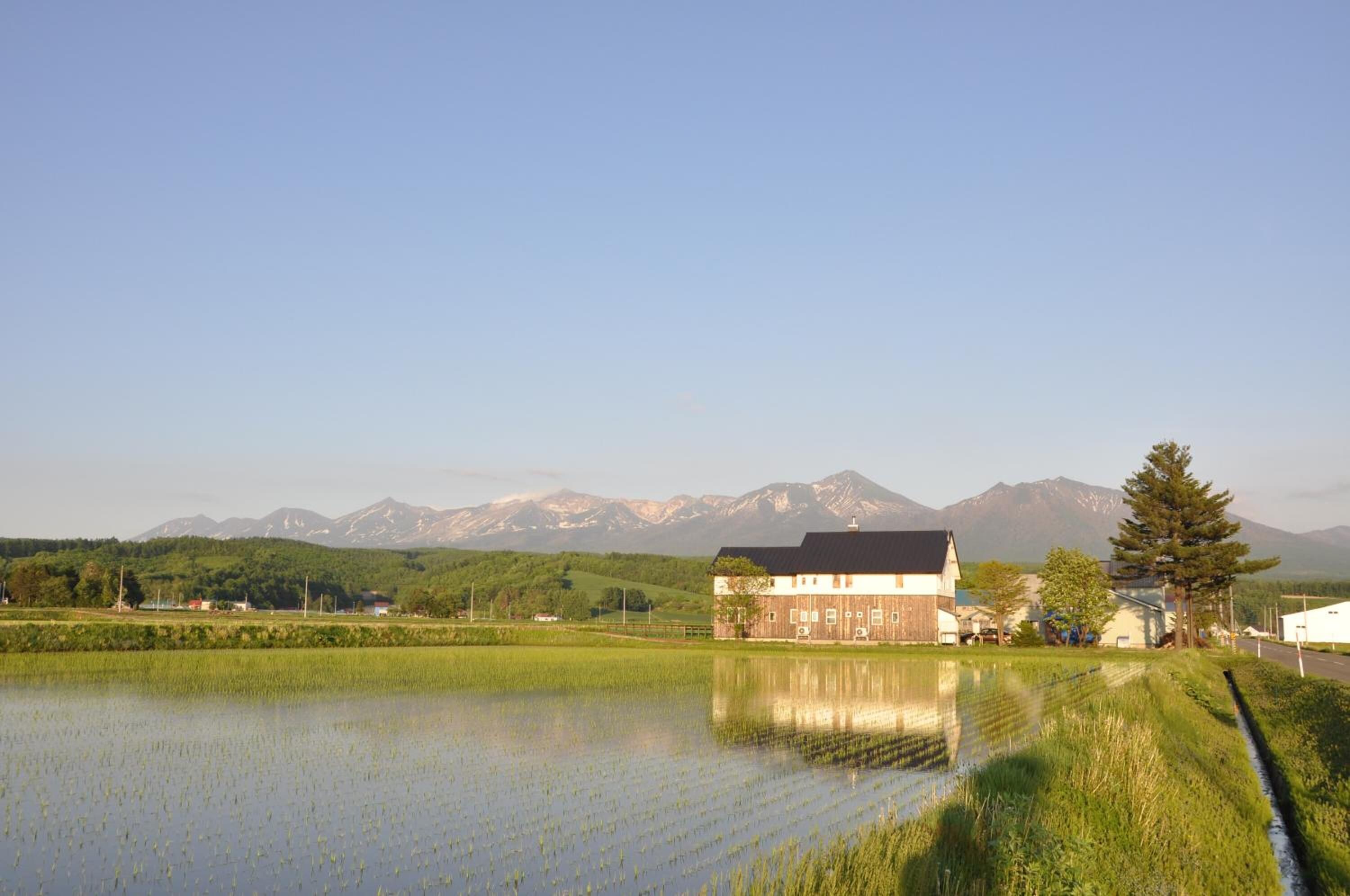 Danau
