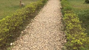 Luxury Room, 2 Bedrooms, Smoking, River View | Garden view - Bardia wild planet (Thakudwara)