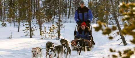 A person in a blue jacket and red hat pulling a sled with dogs in a snowy forest.