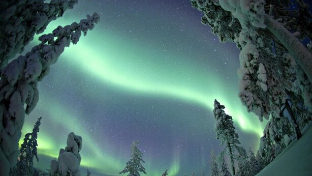 A snowy landscape with trees and a night sky featuring the Northern Lights. - Lomavekarit (Rovaniemi)