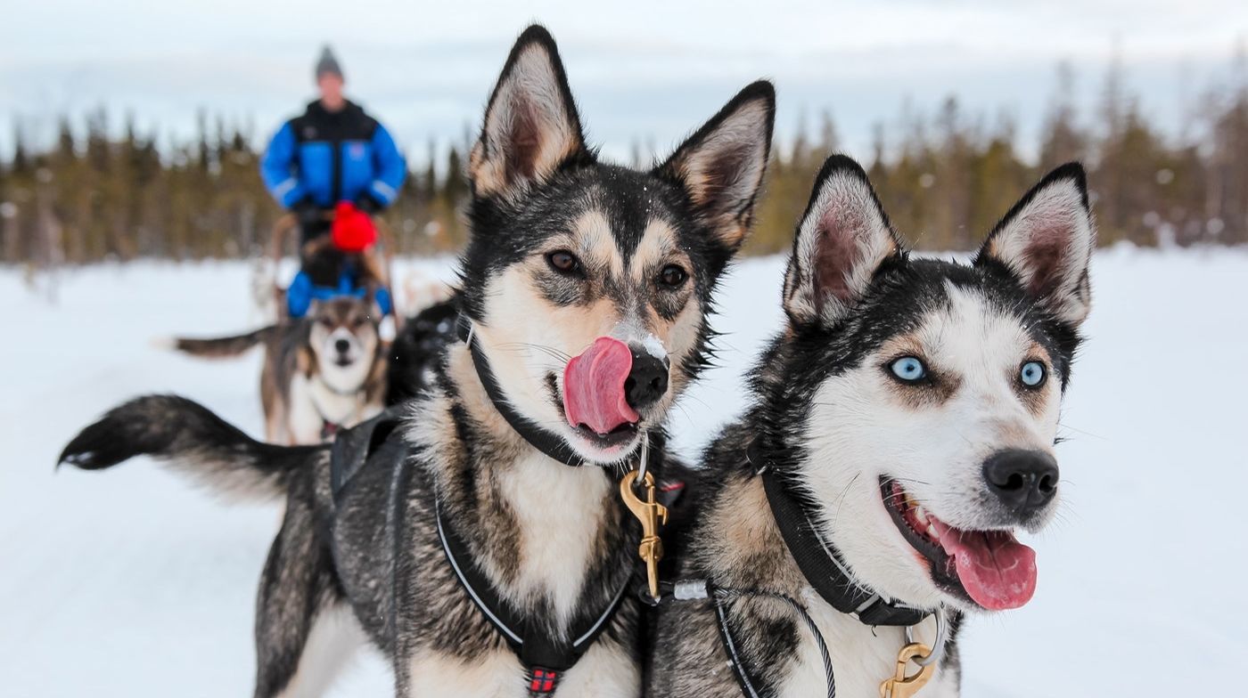 Foto - Lomavekarit Apartments