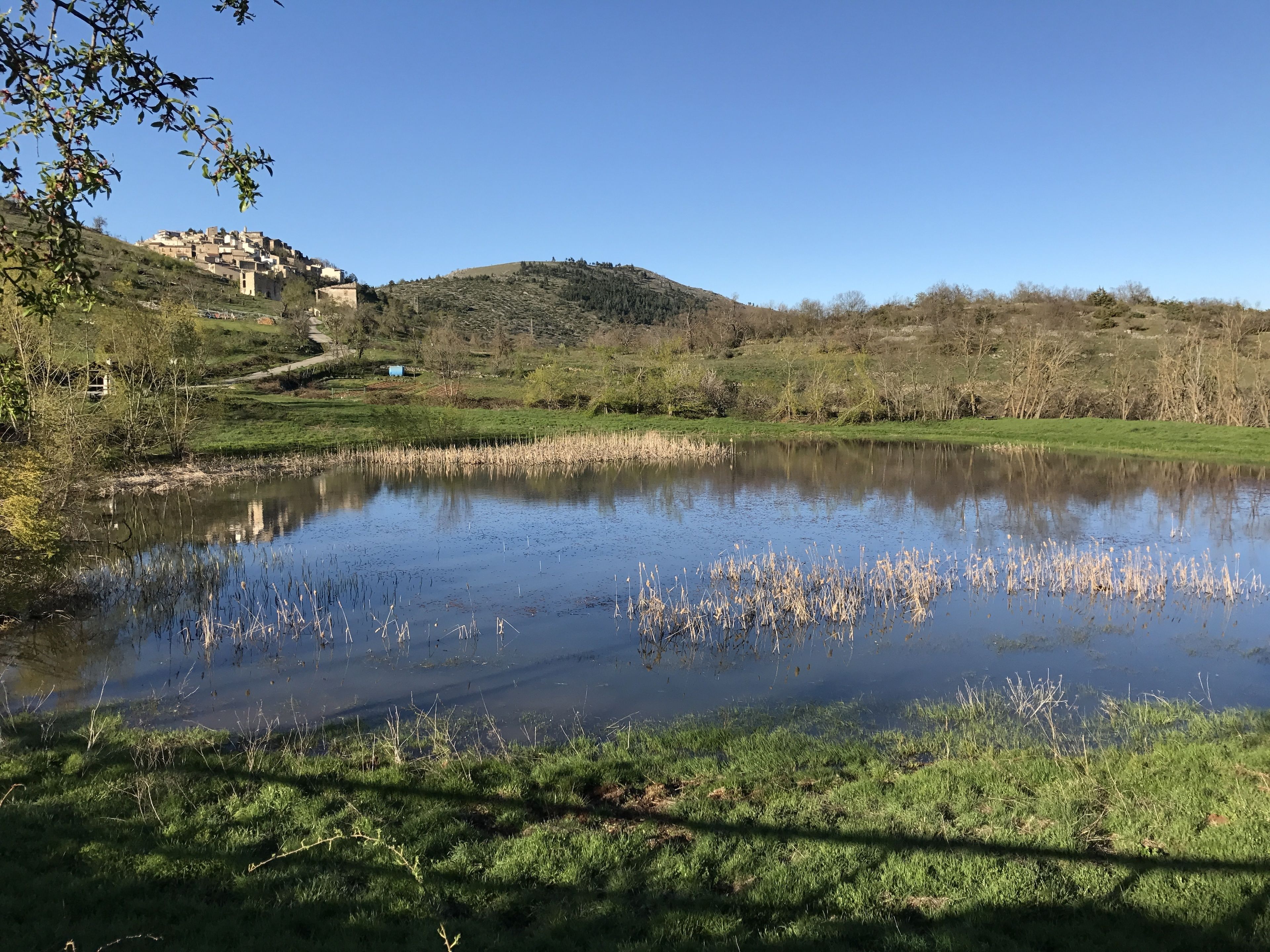 A serene lakeside view with a small building on a hill, surrounded by greenery and clear skies.