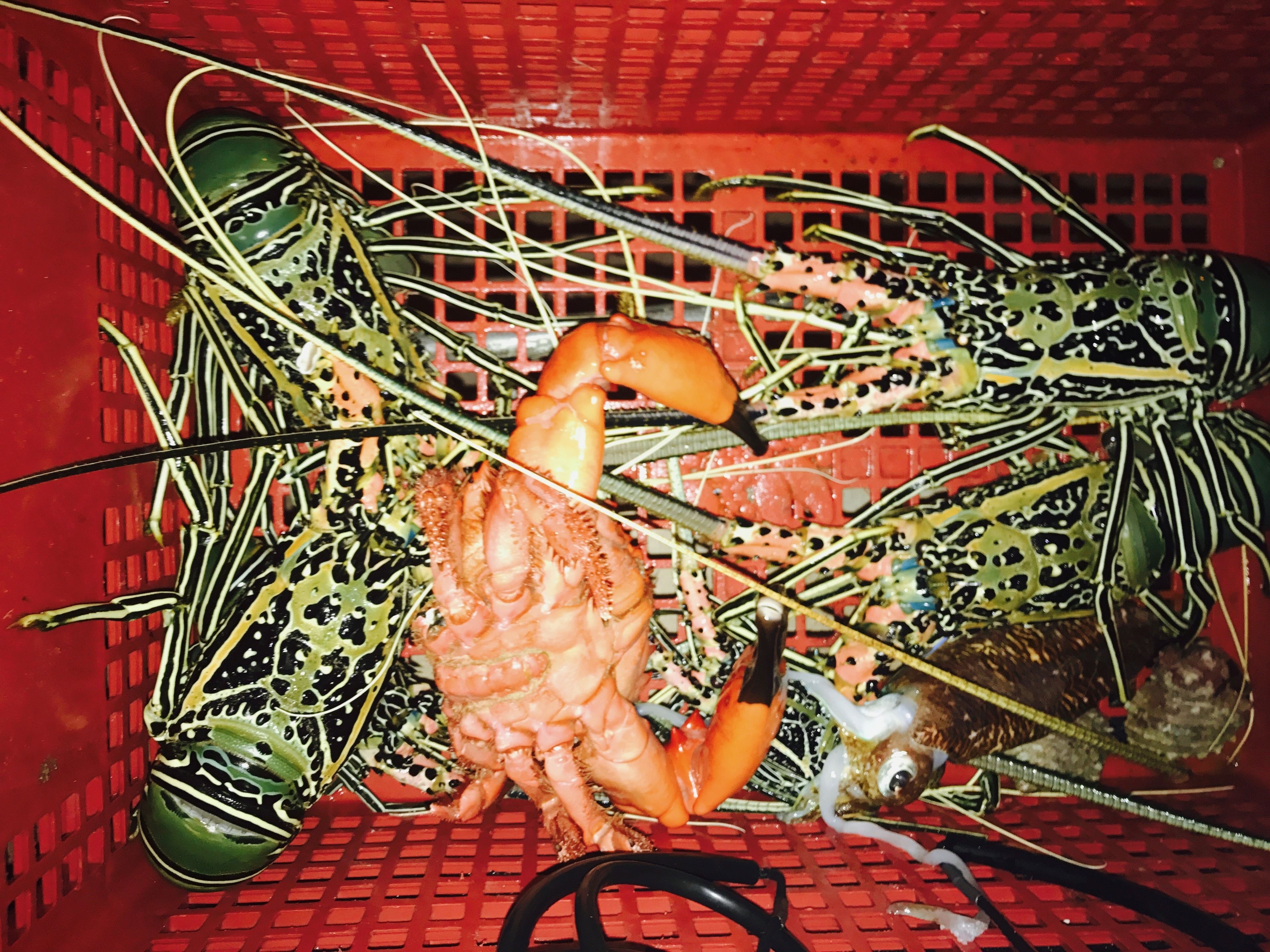 Photo - Noovilu Suites Maldives