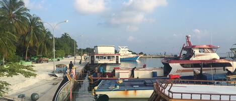 A marina with several boats docked, a sandy shore with palm trees, and a clear sky.