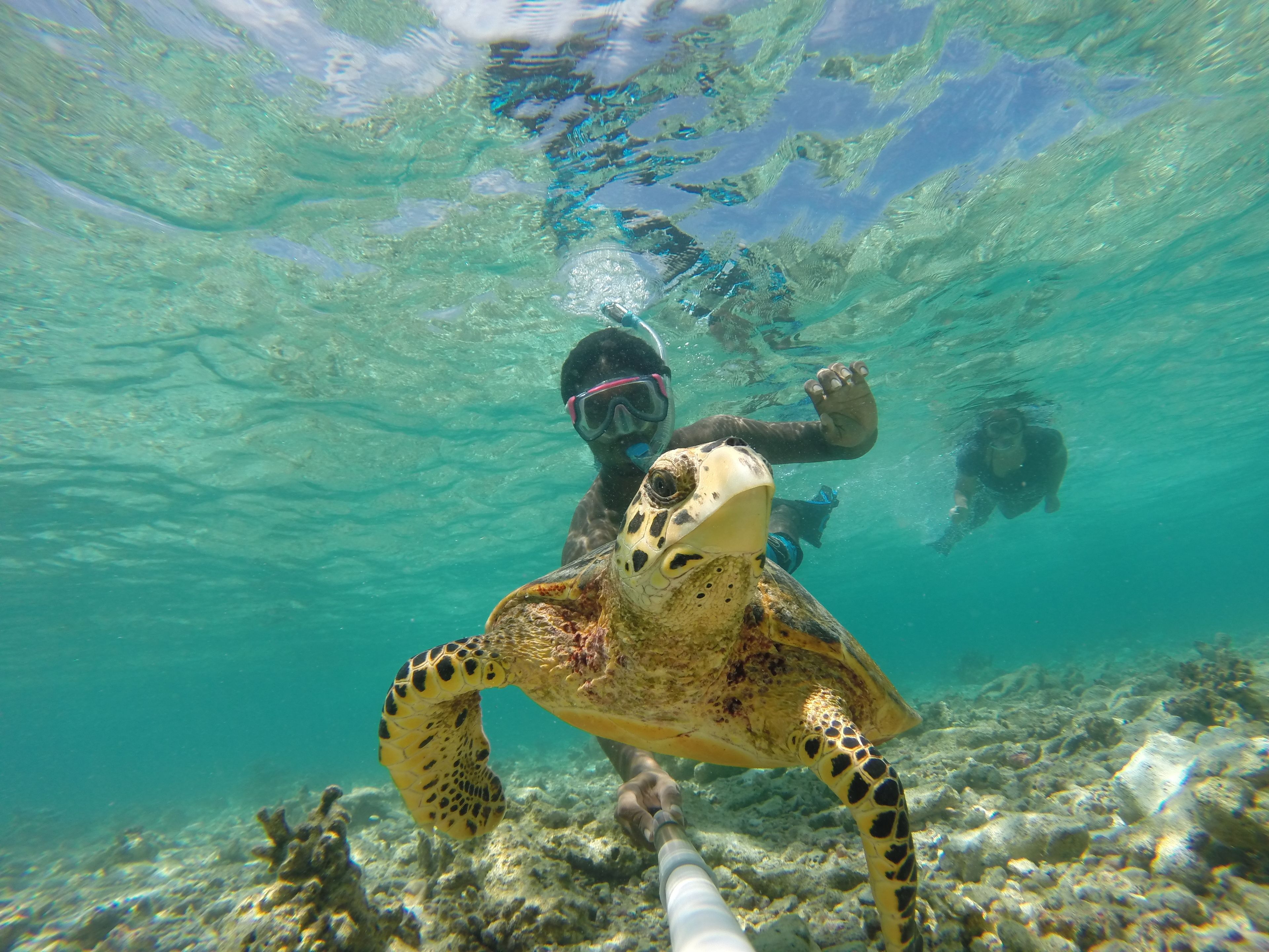 Foto - Noovilu Suites Maldives