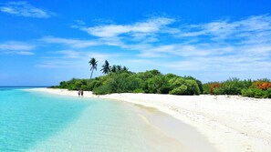 Ein Strand mit klarem türkisblauem Wasser, weißem Sand und üppiger Vegetation.