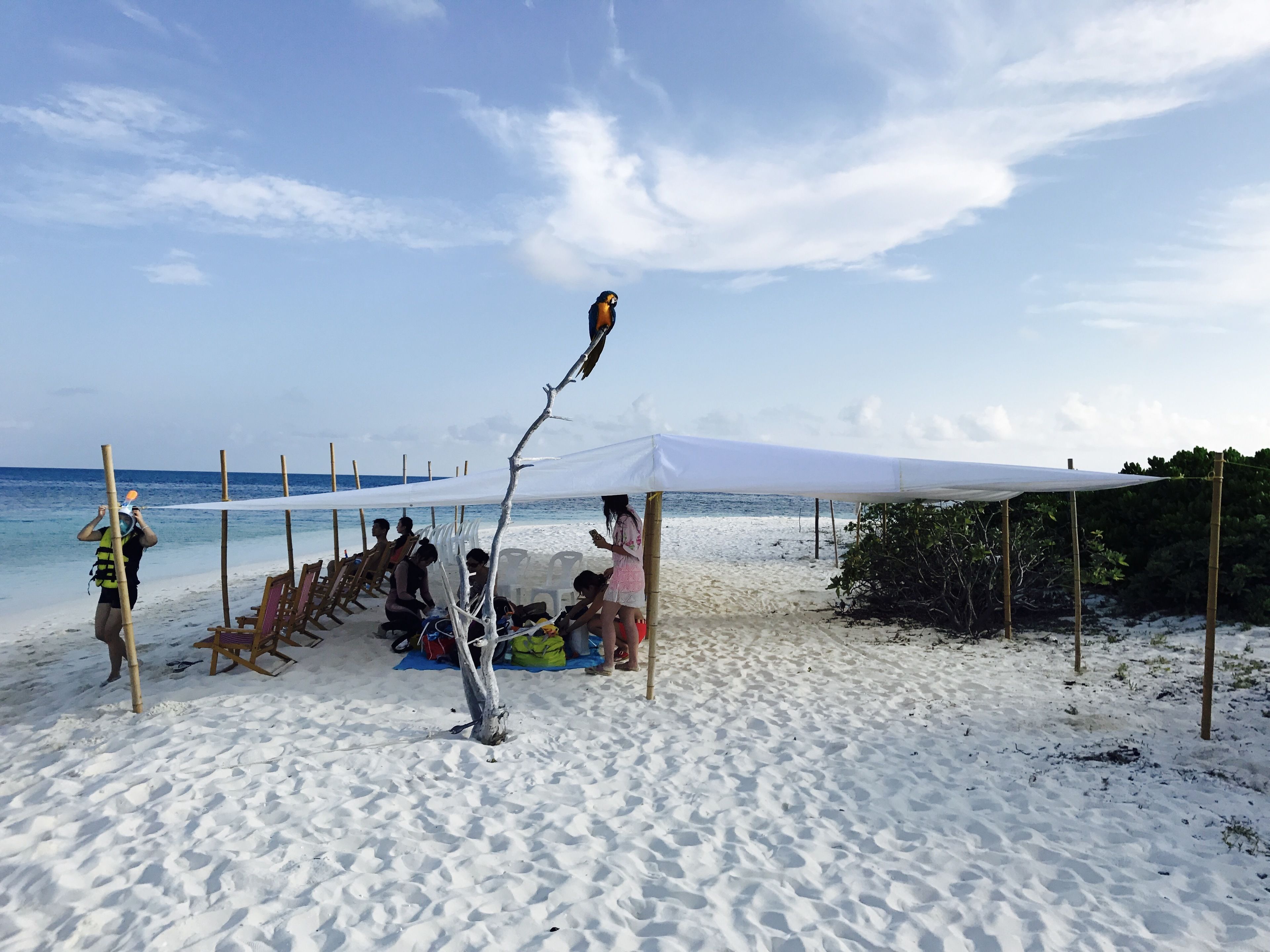 A beach scene with a white canopy, beach chairs, and a tree in the foreground.