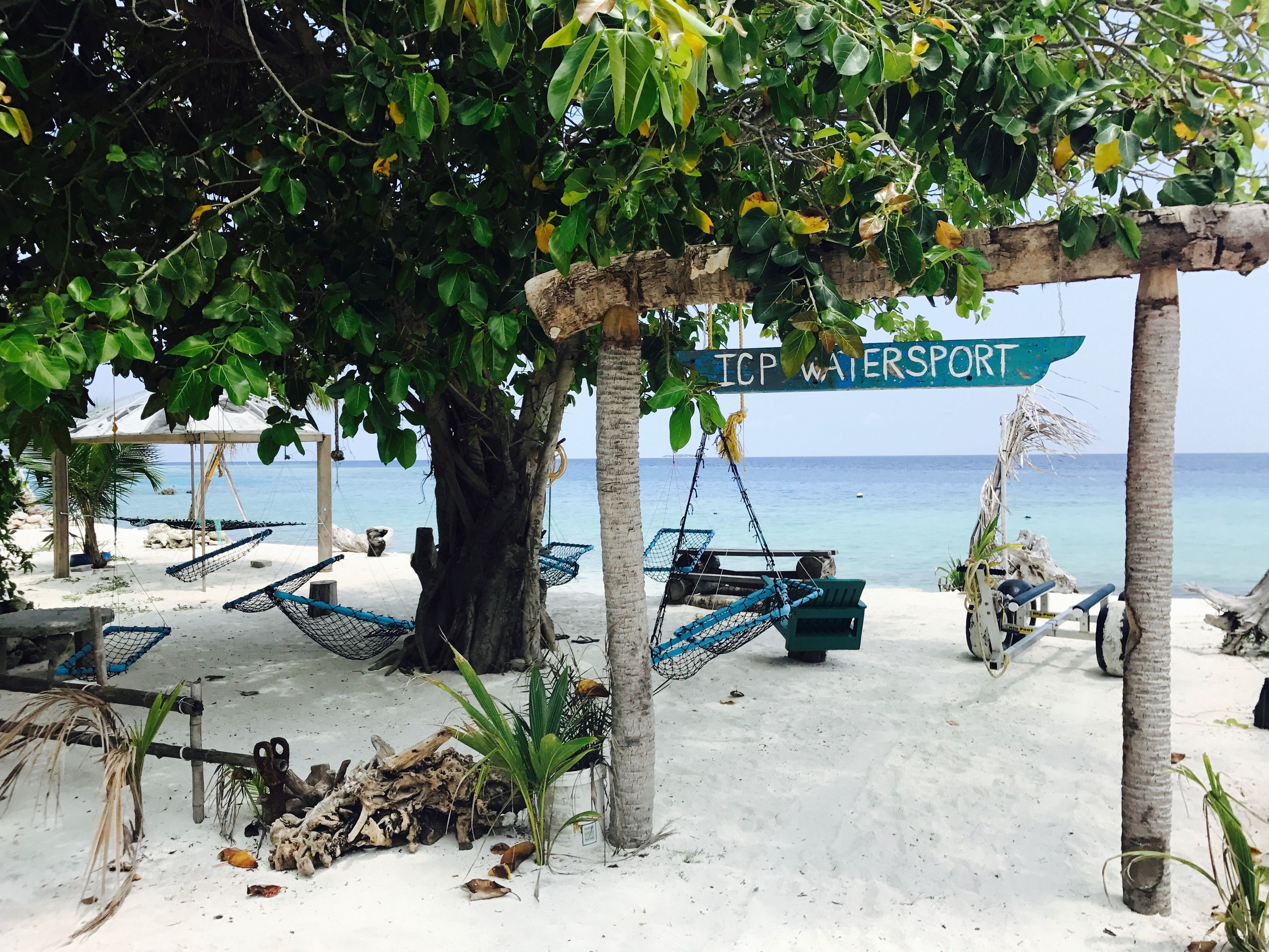 A beach area with hammocks, a sign reading "ICP Watersport", and a view of the ocean.