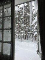 Vista desde la habitación