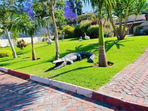 Exterior - Highlands Lodges and Apartments (Harare)