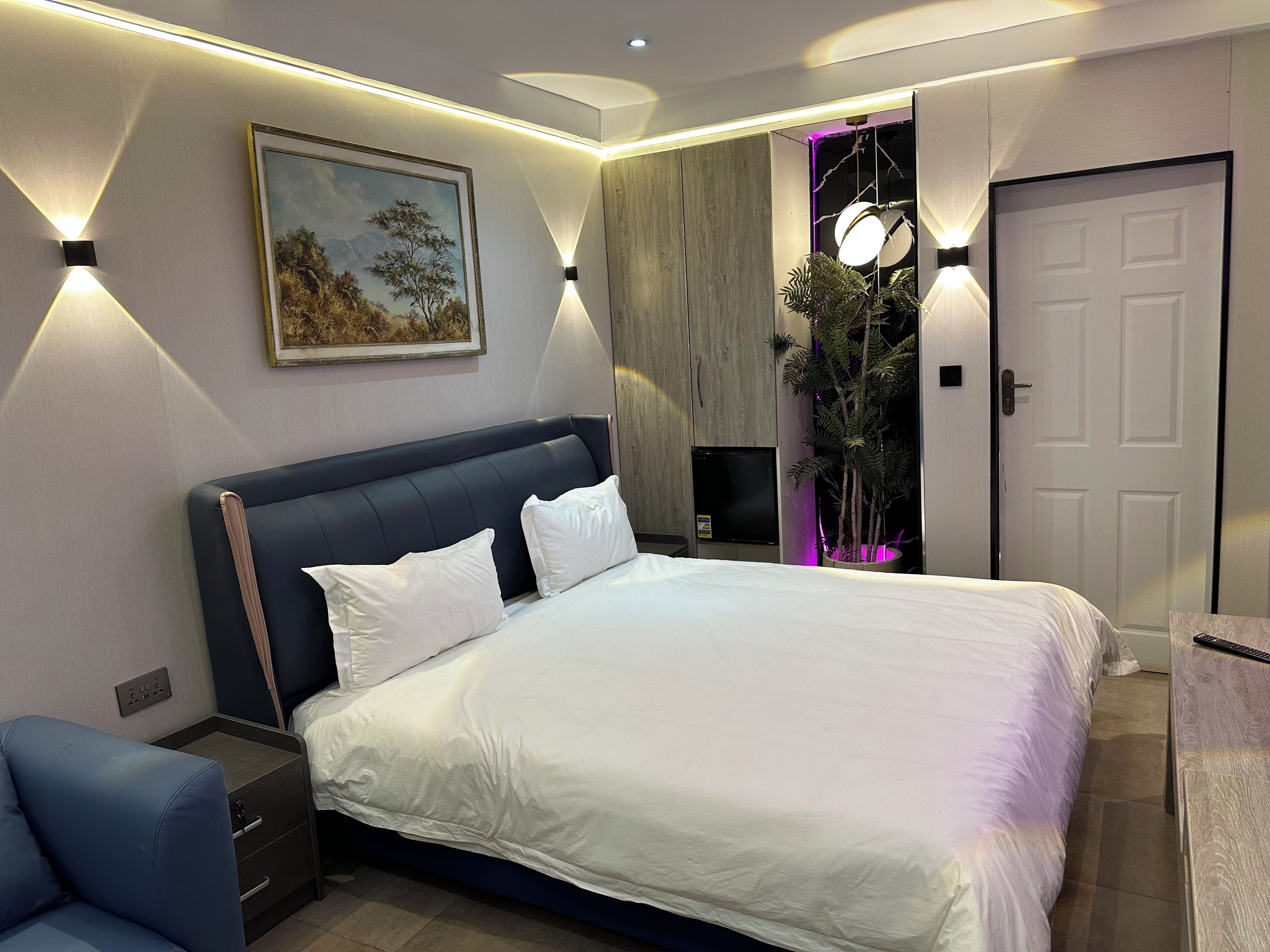 A modern bedroom with a large bed, bedside tables, a TV, and a potted plant.