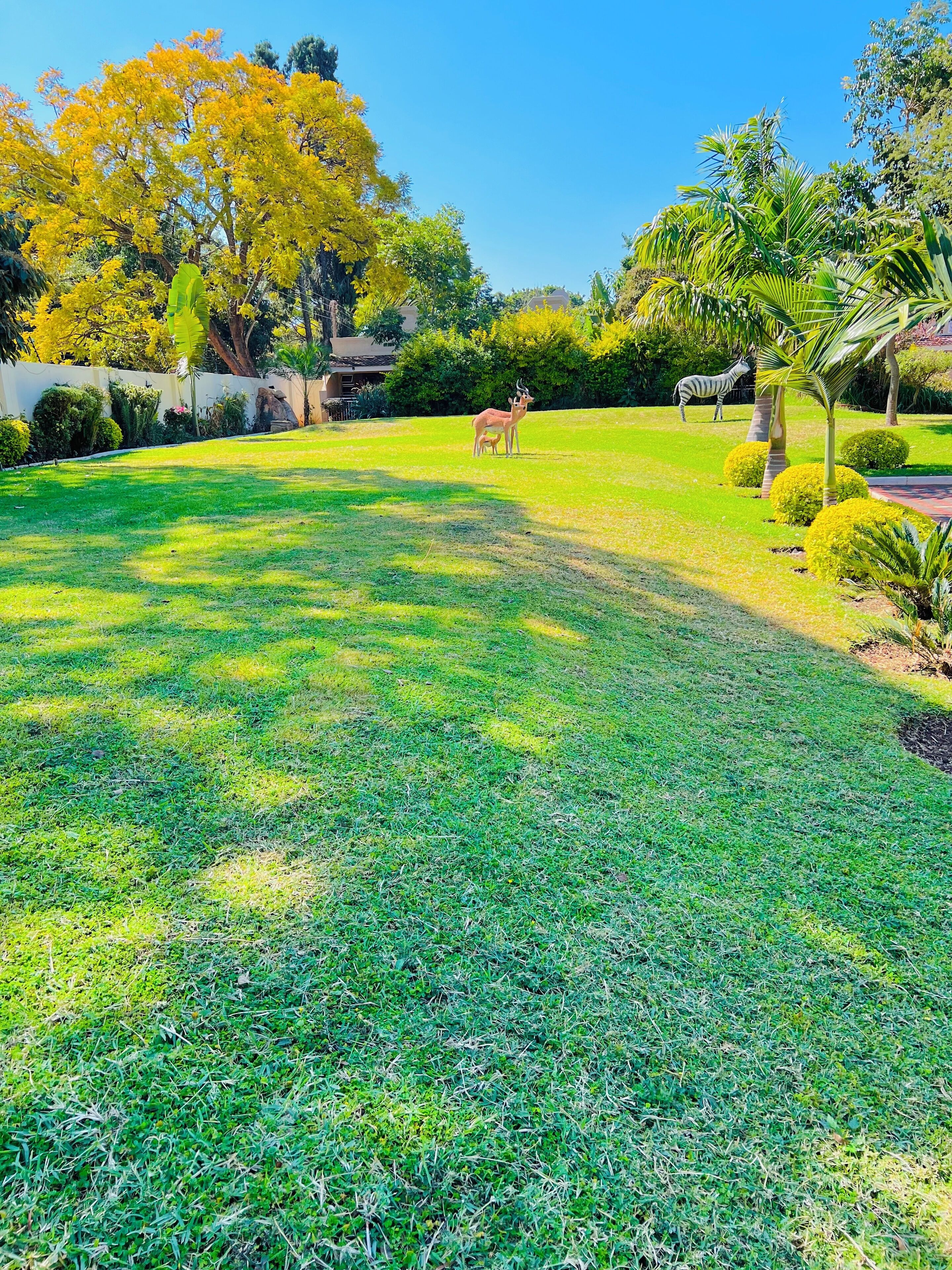 A well-maintained grassy lawn with a zebra statue in the distance, surrounded by various trees and shrubs.