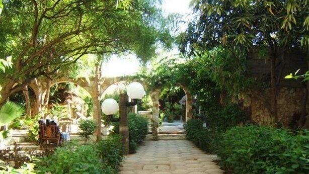 A stone pathway flanked by lush greenery and wooden arches, leading to a shaded seating area. - Hotel Mimosa - Hostel (Toubab Dialao)