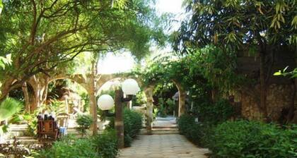 Hotel Mimosa - Hostel