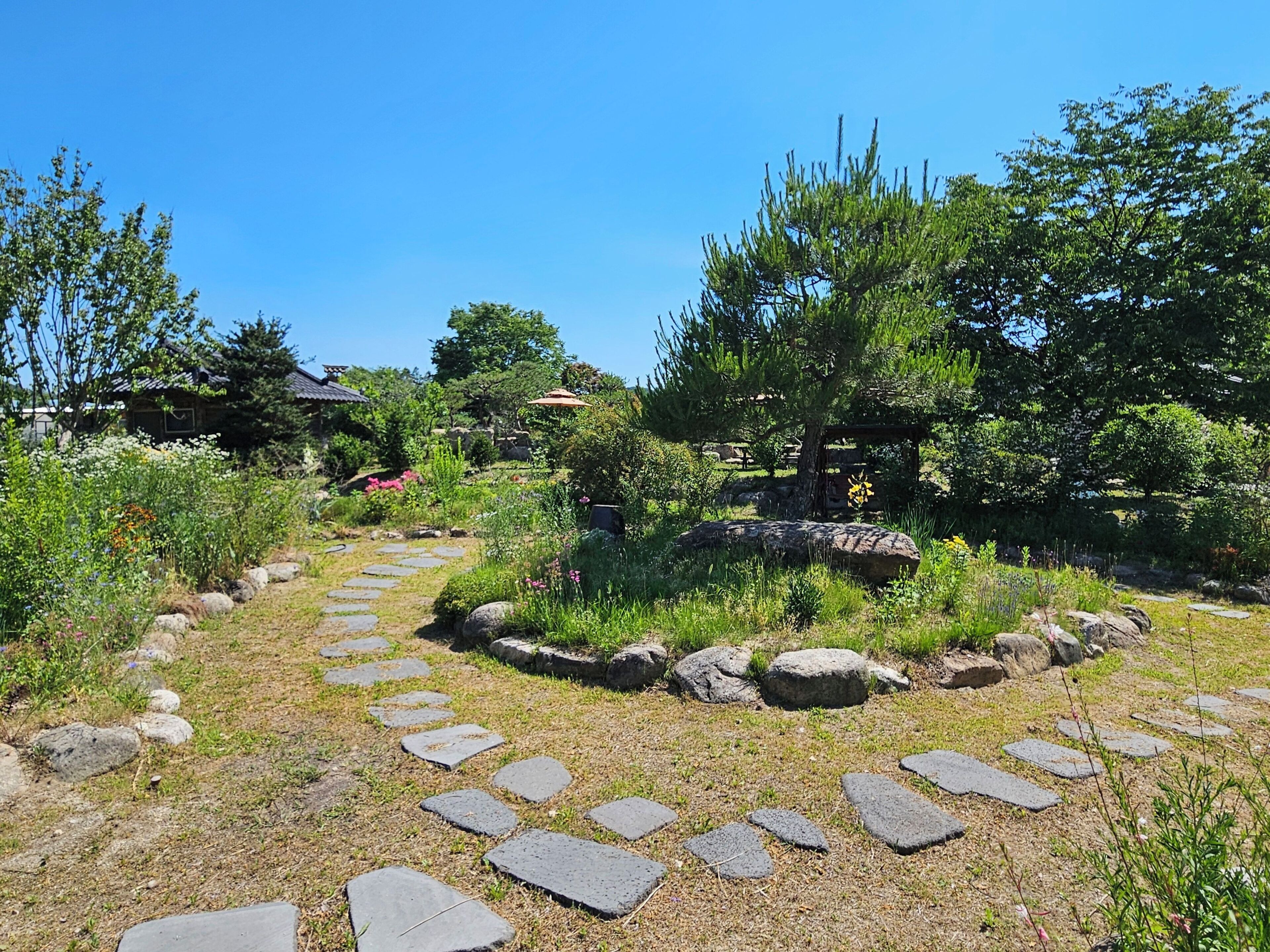 A garden pathway with stepping stones, surrounded by rocks and various plants.